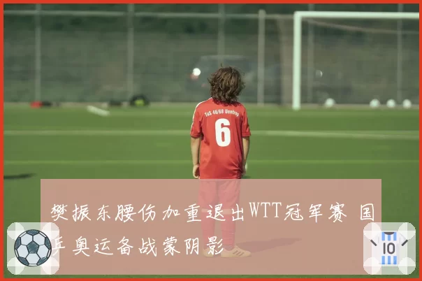 樊振东腰伤加重退出WTT冠军赛 国乒奥运备战蒙阴影