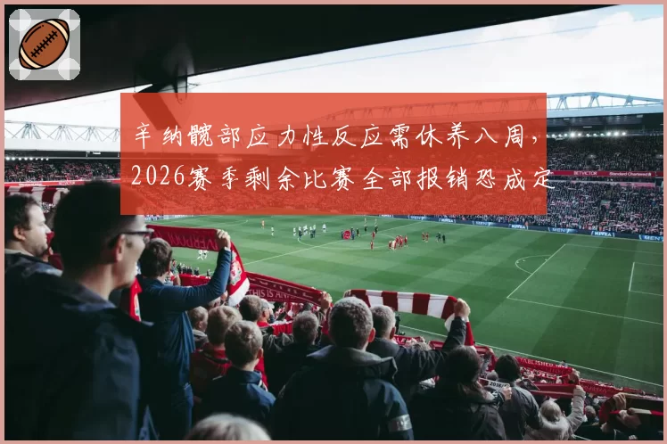 辛纳髋部应力性反应需休养八周,2026赛季剩余比赛全部报销恐成定局