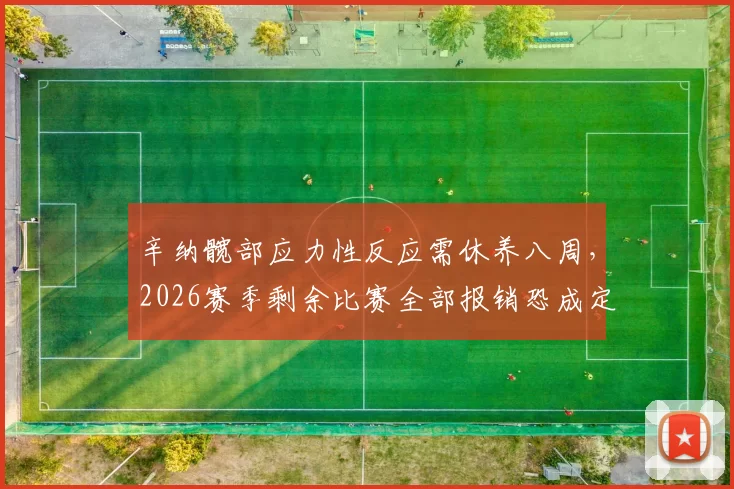辛纳髋部应力性反应需休养八周，2026赛季剩余比赛全部报销恐成定局