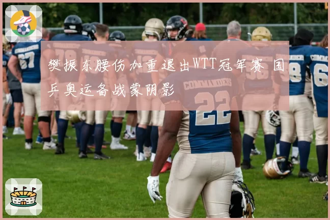 樊振东腰伤加重退出WTT冠军赛 国乒奥运备战蒙阴影